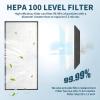 SHAHRYAR Vertical Laminar Flow Cabinet, Class 100 HEPA Filter, 59 × 31 × 67 cm view 2