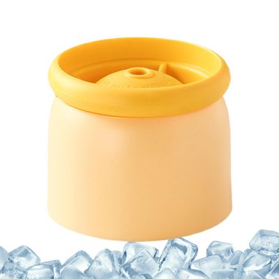 Round Ice Ball Maker | 6-Cavity Reusable Sphere Mold