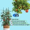Tomato Stakes, 36-Piece Expandable Climbing Support Set with Clips view 4