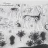 HEEPDD Silicone Stamps, Forest Animals for DIY Crafting view 4