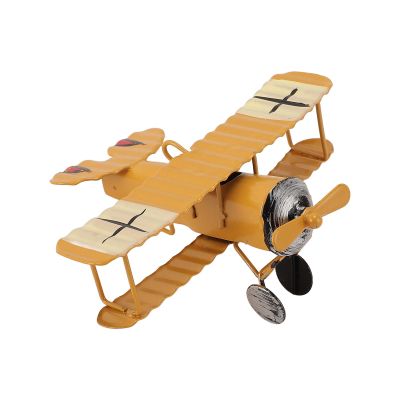 RASTKY Vintage Iron Airplane Model