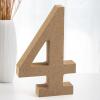 Shyllin Standing Wooden Letters view 1
