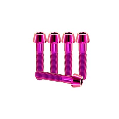RISON-Titanium 5-Piece M6 x 1.0 x 40 mm Titanium Bicycle Stem Bolts, Tapered Hex Socket Head