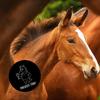 Horse with Wine Fun Magnet view 3