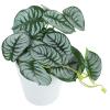 MAGICLULU Artificial Bonsai Plant in Pot view 1