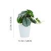 MAGICLULU Artificial Bonsai Plant in Pot view 2