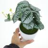 MAGICLULU Artificial Bonsai Plant in Pot view 4