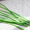 Saterkali Artificial Flower with Stem view 4