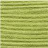 Rico Design CREATIVE RICORUMI DK PISTACHIO Premium Yarn 25g view 2