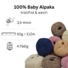 100% Baby Alpaca Yarn Set, 2 x 50 g (112 m) 4-Ply, Anthracite, DK view 2