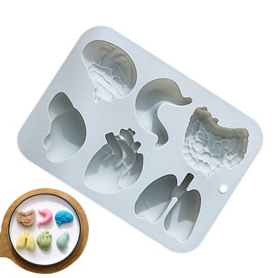 Silicone Organ Molds - Heart Brain Cake Mould