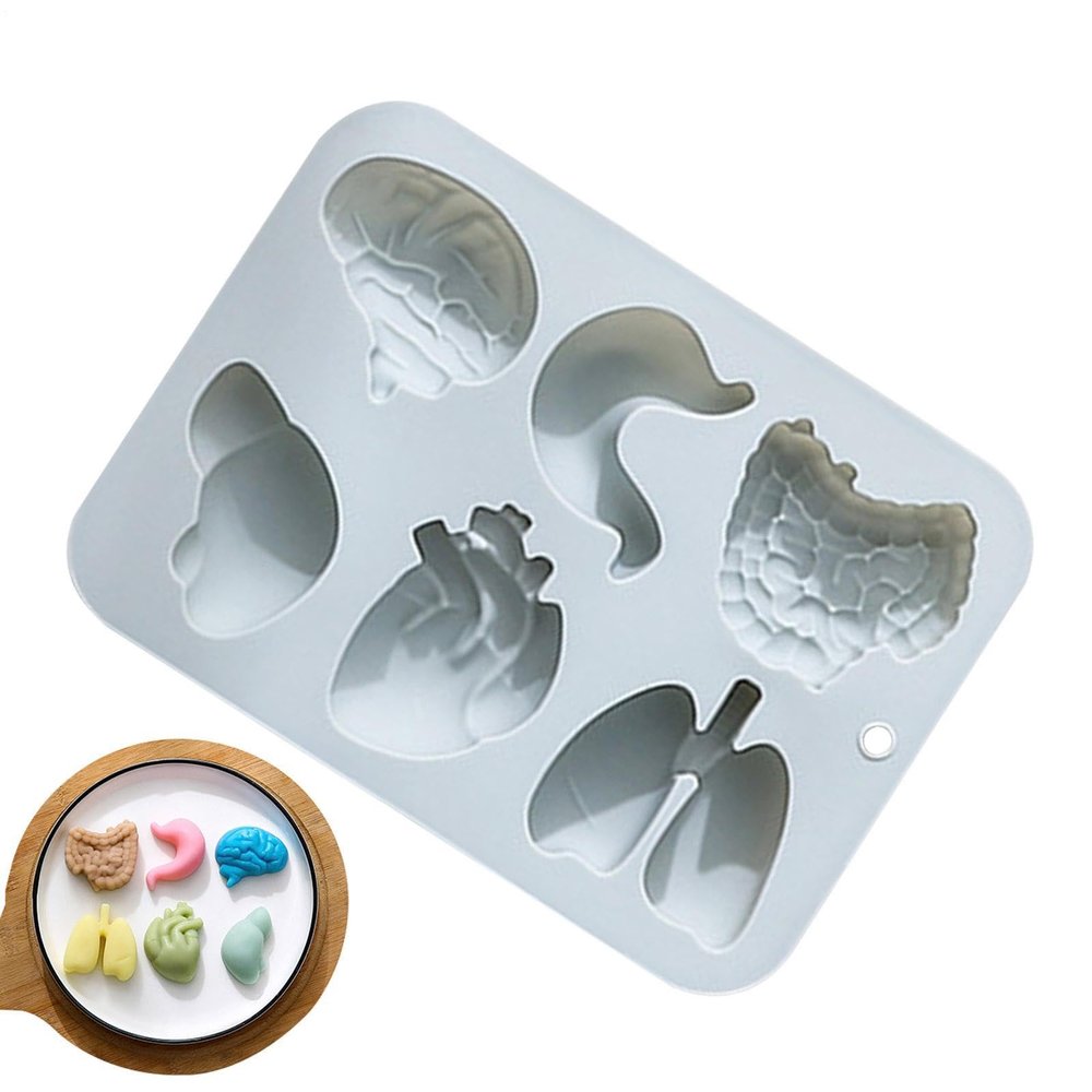 Silicone Organ Molds - Heart Brain Cake Mould