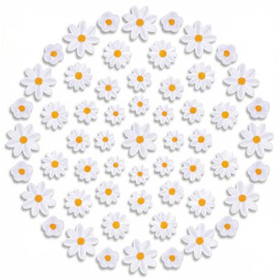 SHENLIU 48-Piece Daisy Iron-On Patches