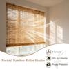 Bamboo Roller Shades for Terrace view 2