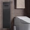 Minglez Recessed Toilet Paper Holder with Shelf and Storage Compartment, Stainless Steel, Black view 1