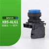 XB5-AL42 Neutral Plastic Push-Button Switch with Convex Head, 1 pc (XB5-AL61) view 2