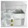 Clear Acrylic Water Tray for Floating Photo Props and Creative Photography view 1