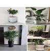 Sturdy Plant Caddy with Wheels for Indoor and Outdoor Use view 3