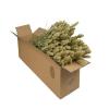 Natural Dried Wheat Flowers, 4 Bundles, 60 cm view 1