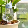 WYBZDA Slow-Release Plant Watering Globes, 5-Piece view 2