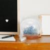 MALUGOGO 4-Piece Glass Display Domes with Creative Design and Khaki Bases view 4