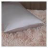Silk Pillowcase, 100% Mulberry Silk, 40 x 60 cm, 50 x 70 cm, Queen-Size Pillowcase (Light Blue, 40 x 60 cm, 1 pc) view 4