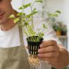 Generic Hydroponic Net Pots, Soil-Free Propagation Pots view 3