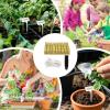 Generic Hydroponic Net Pots, Soil-Free Propagation Pots view 4