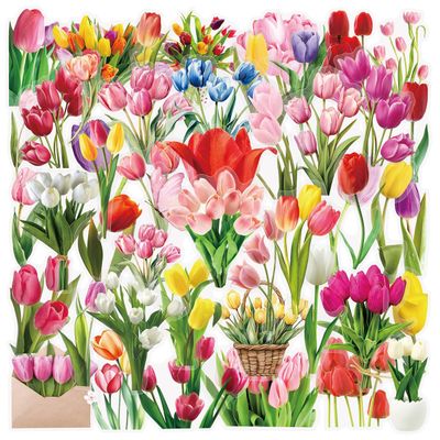 Ovanda 50-Piece Dried Flower Sticker Set