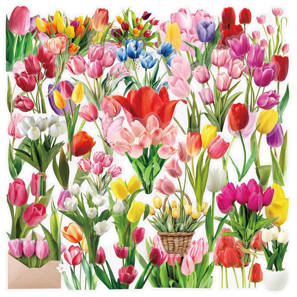 Ovanda 50-Piece Dried Flower Sticker Set