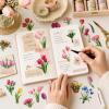 Ovanda 50-Piece Dried Flower Sticker Set view 3