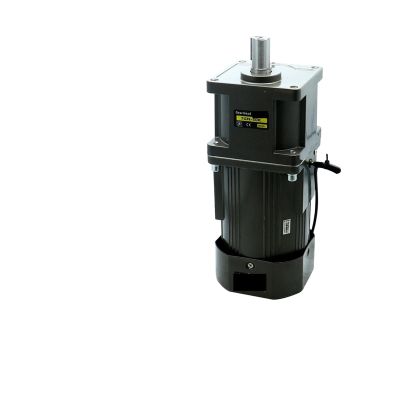 ZXAOMMBEA 400 W AC Motor, 220 V, 50/60 Hz, Single-Phase Induction Motor, 22 mm Shaft, DC Motor, 140 RPM