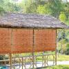 Bamboo Roller Shades for Windows view 4