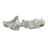 Stineng Transparent Dog Teeth Anatomical Model, Animal Teeth, Veterinary Teaching Aid (Cat) view 3