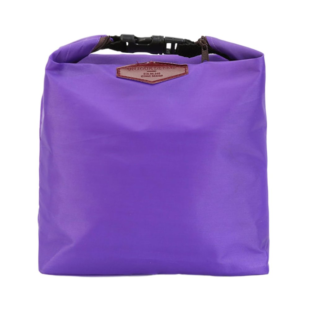 Insulated Lunch Bag, Waterproof, Leakproof Small Cooler with Buckle Closure and Handle for School Picnic, Purple