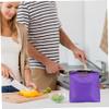 Insulated Lunch Bag, Waterproof, Leakproof Small Cooler with Buckle Closure and Handle for School Picnic, Purple view 2