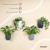 KONZEPT Wall-Mounted Flower Pot, 14.6 cm, Matte Ribbed Hanging Pot, 2.1 L, Anthracite view 4