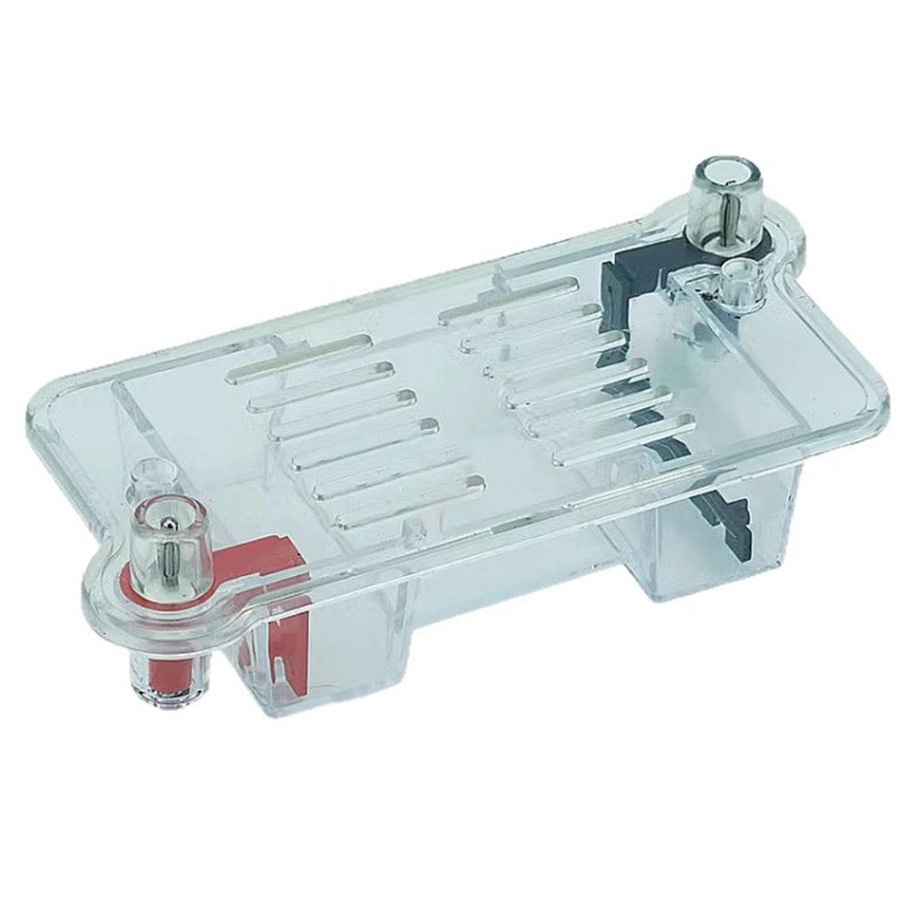 Horizontal Electrophoresis Gel Chamber for DNA Analysis in Academic Settings