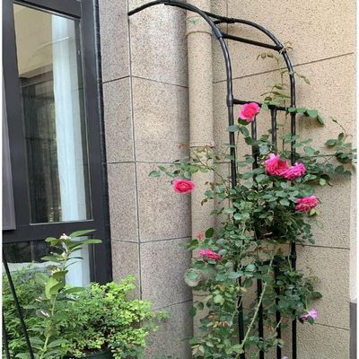 Metal Trellis for Climbing Plants, Weather-Resistant Garden Support