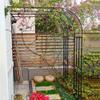 Metal Trellis for Climbing Plants, Weather-Resistant Garden Support view 3