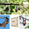 Outdoor Wooden Bat House Wildlife Habitat view 3