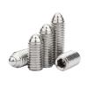 Ball Plunger Screws, 304 Stainless Steel Hex Socket Spring Ball Set, 10-Piece, Silver, Various Sizes (40 mm–M6) view 1