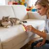 Pet Hair Roller | Washable Mini Roll for Furniture & Clothing view 2