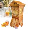 pealiritansemen Self-Flowing Beehive, Compact Mini Beehive for Small Spaces with Viewing Window and Cedar Frames view 1