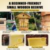 pealiritansemen Self-Flowing Beehive, Compact Mini Beehive for Small Spaces with Viewing Window and Cedar Frames view 3