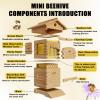 pealiritansemen Self-Flowing Beehive, Compact Mini Beehive for Small Spaces with Viewing Window and Cedar Frames view 4