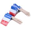 50-Piece Mini Toothpicks with Flag for Party Snacks - France (Blue, Red) view 3