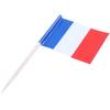 50-Piece Mini Toothpicks with Flag for Party Snacks - France (Blue, Red) view 4