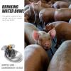 Automatic Goat and Cow Drinking Bowl with 1/2-Inch Connection, Stainless Steel view 3