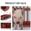 Four-Compartment Plastic Pig Feeder for Piglet Pens and Farms view 3